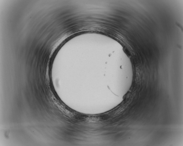 X0000102250788200808221352