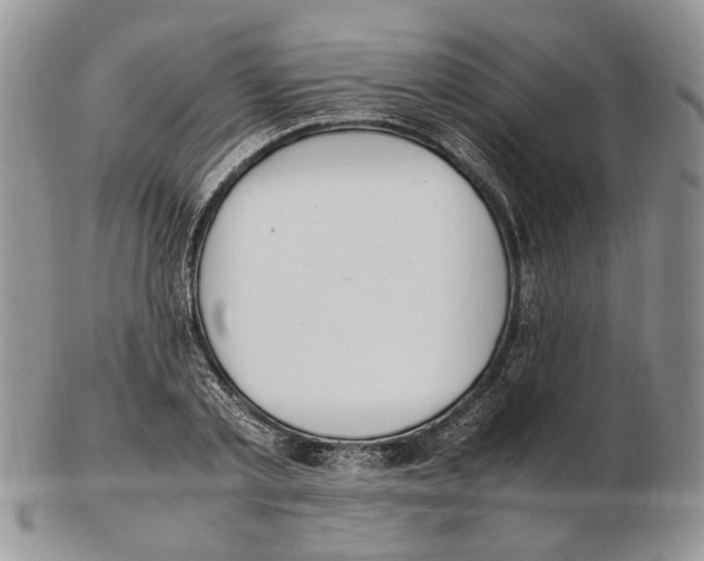 X0000102250789200808221351