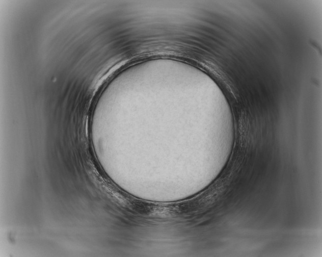 X0000102250790200808221351