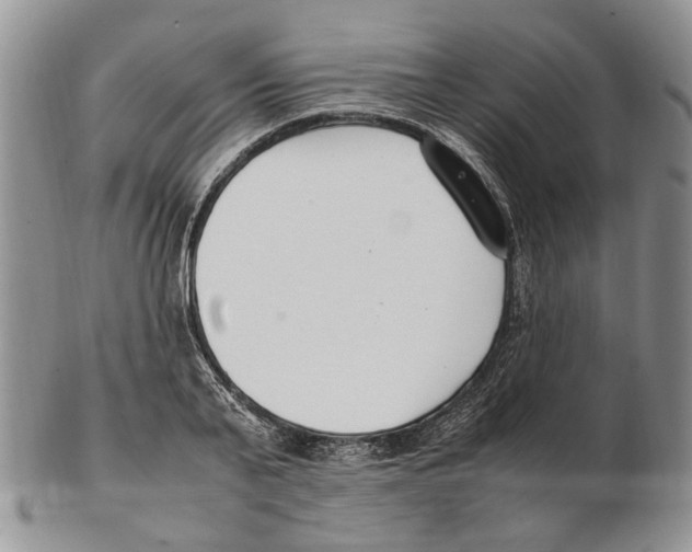 X0000102250791200808221351