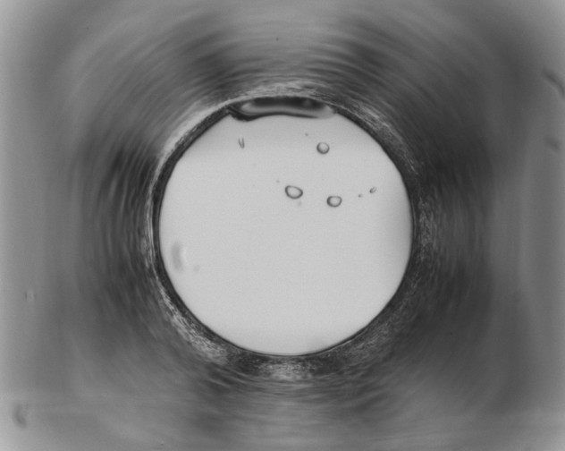 X0000102250792200808221351