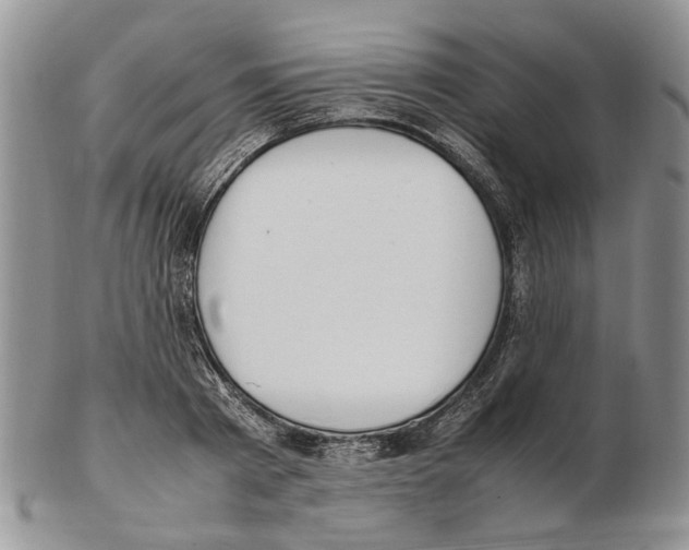 X0000102250793200808221351