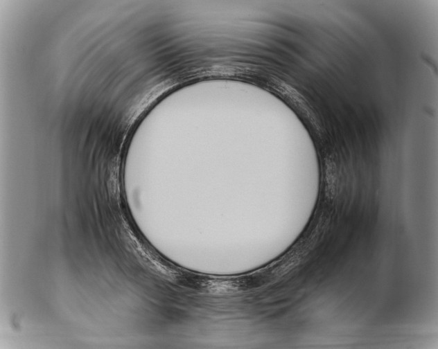 X0000102250794200808221351