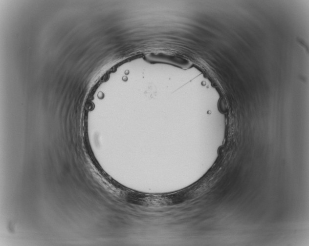 X0000102250795200808221351