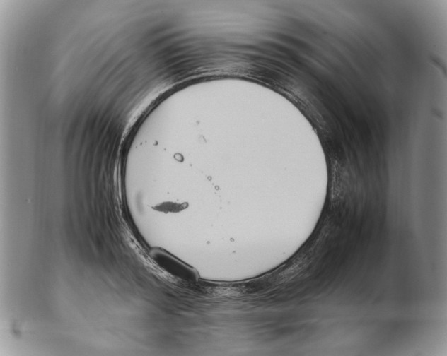 X0000102250796200808221351