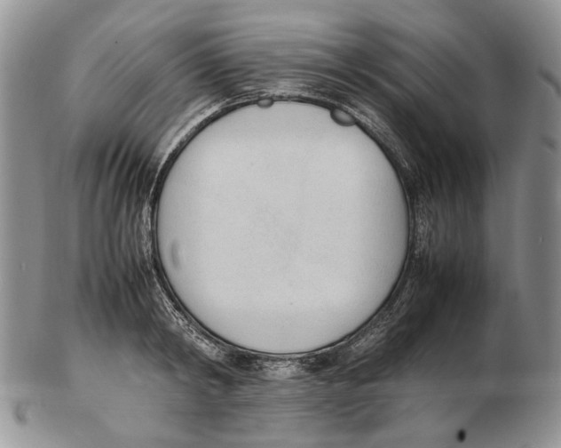 X0000102250798200808221351