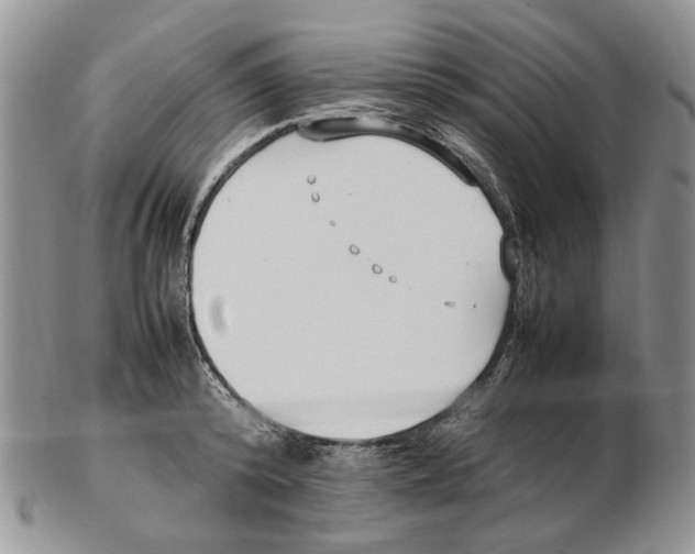 X0000102250800200808221351