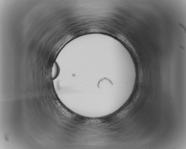 X0000102250801200808221351