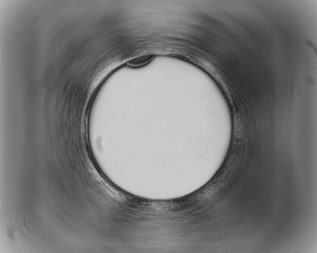 X0000102250803200808221351