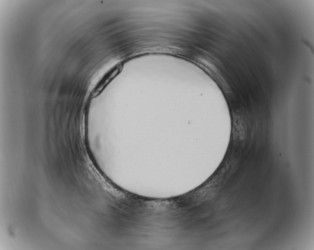 X0000102250804200808221351