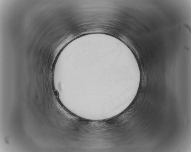 X0000102250805200808221351