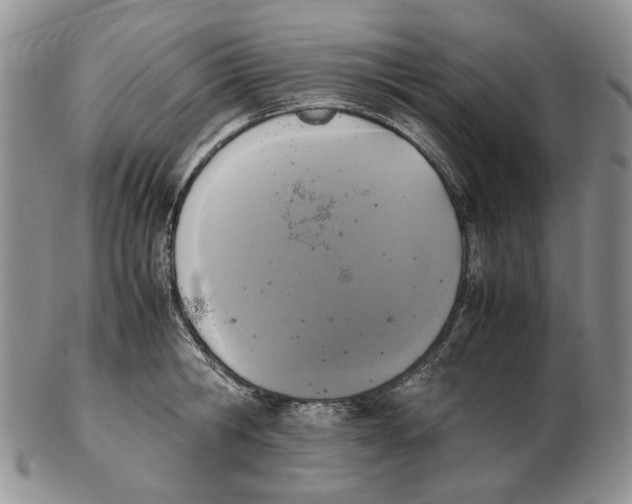 X0000102250806200808221351