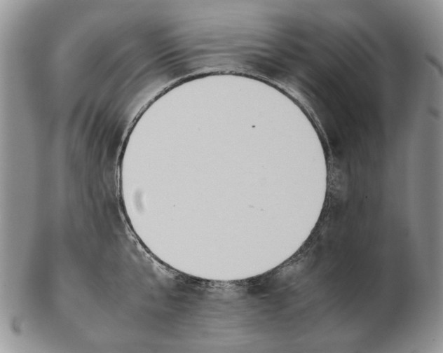 X0000102250807200808221351