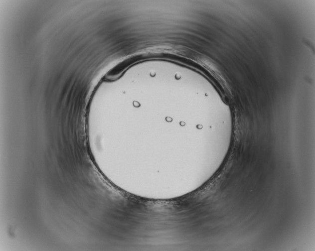 X0000102250808200808221351