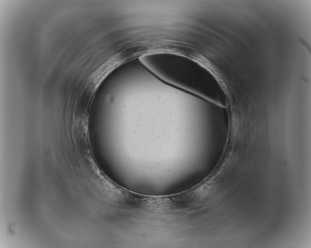 X0000102250809200808221351