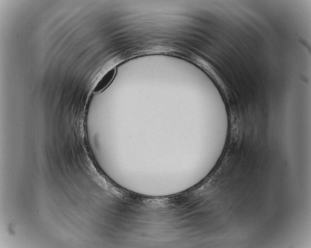 X0000102250810200808221351