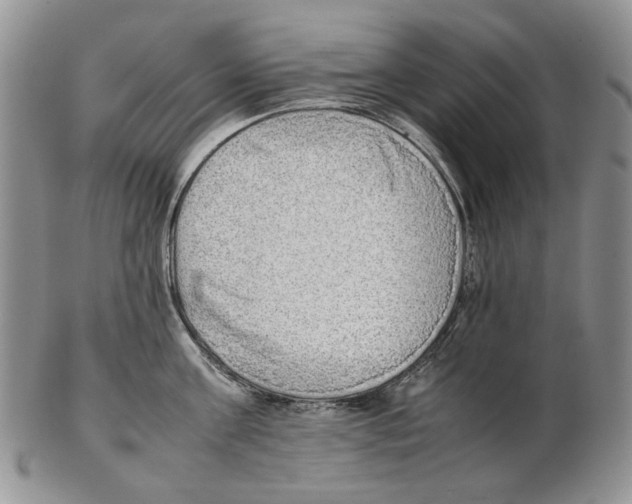 X0000102250811200808221351