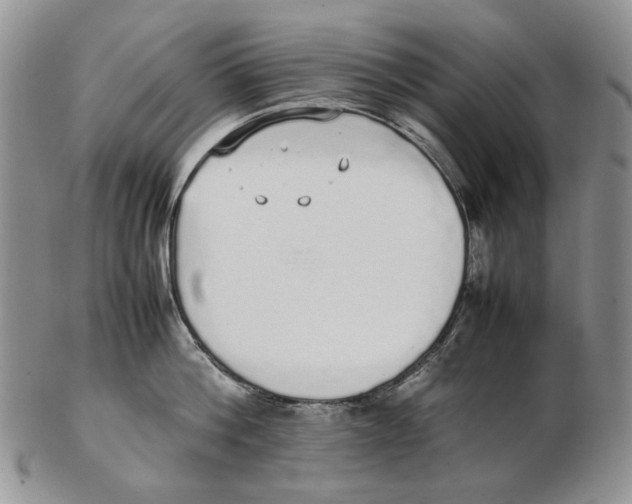 X0000102250812200808221351