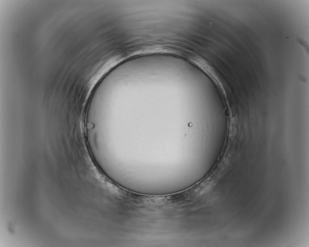 X0000102250813200808221351