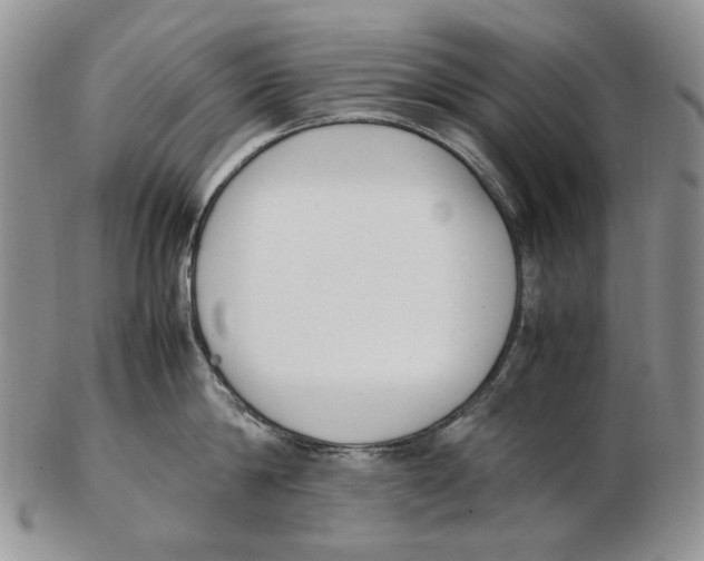 X0000102250814200808221351