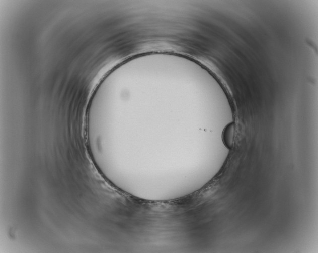 X0000102250815200808221351
