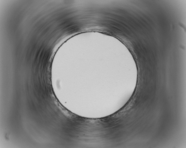 X0000102250816200808221351