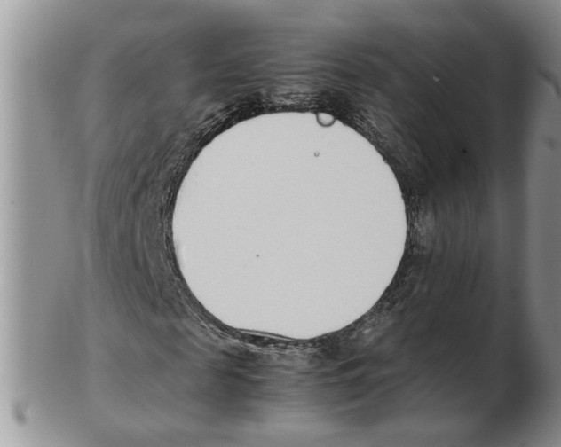 X0000102250817200808221350