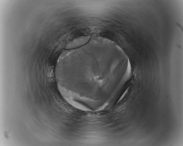 X0000102250818200808221350