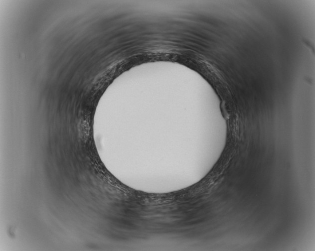 X0000102250821200808221350