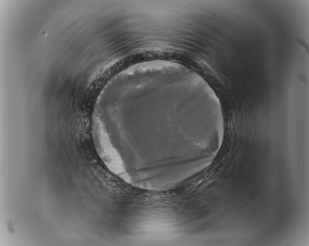 X0000102250822200808221350