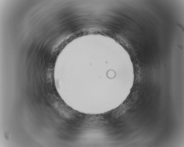 X0000102250824200808221351