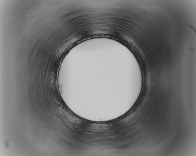 X0000102250825200808221351