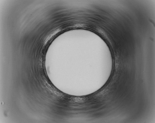 X0000102250827200808221351