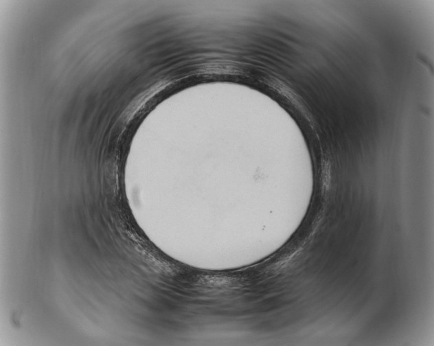 X0000102250829200808221351