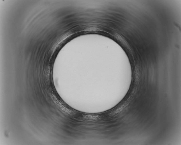 X0000102250831200808221351