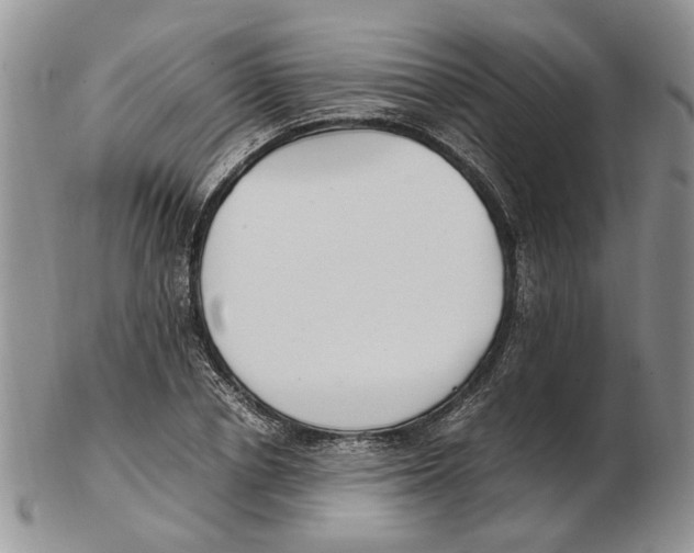 X0000102250834200808221351