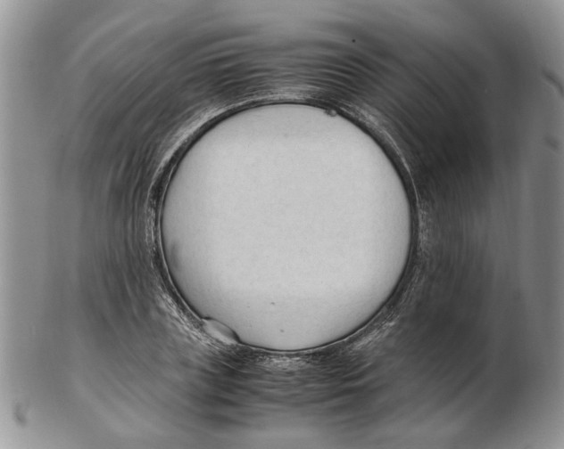X0000102250835200808221351
