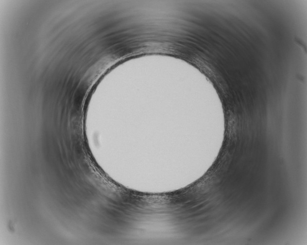 X0000102250836200808221351