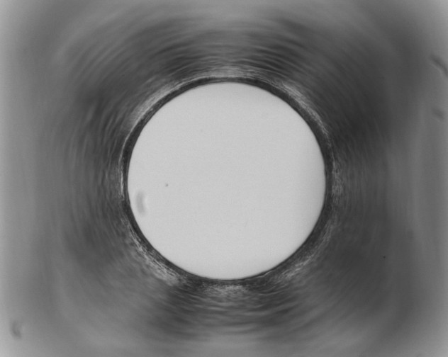 X0000102250837200808221351