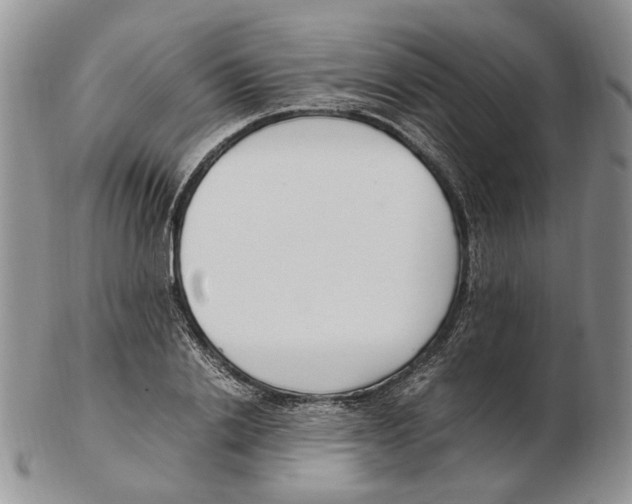 X0000102250838200808221351