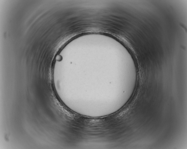X0000102250839200808221351
