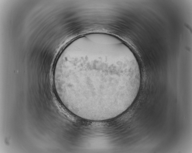 X0000102250840200808221351