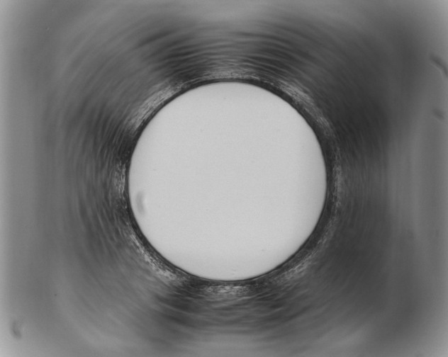X0000102250841200808221351
