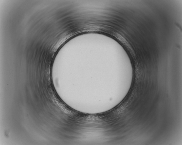 X0000102250842200808221351