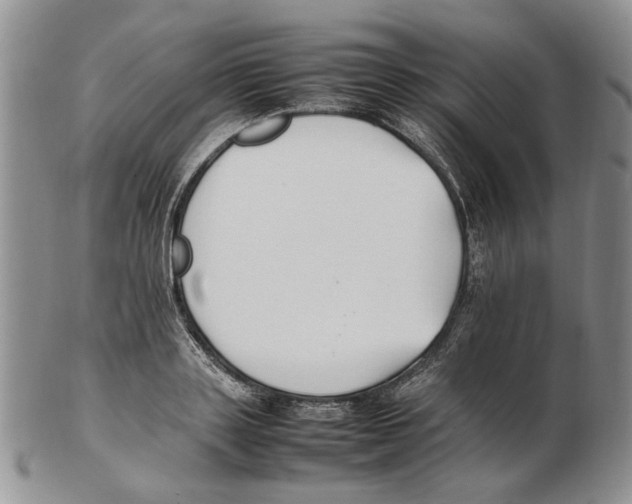 X0000102250843200808221351