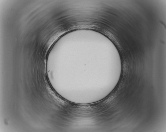 X0000102250844200808221351