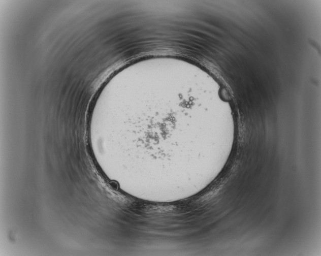 X0000102250845200808221351