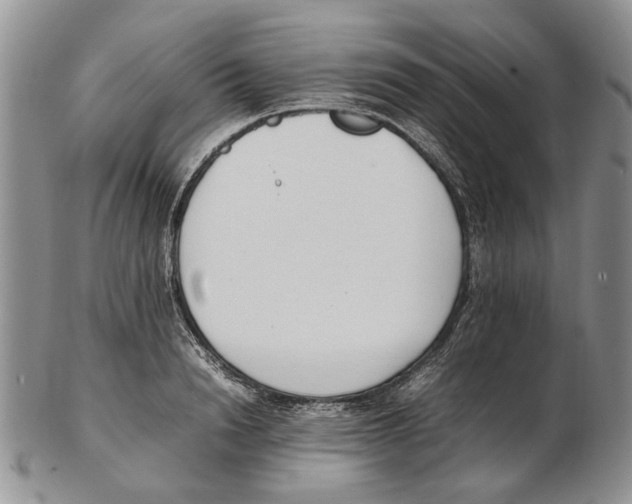 X0000102250846200808221351