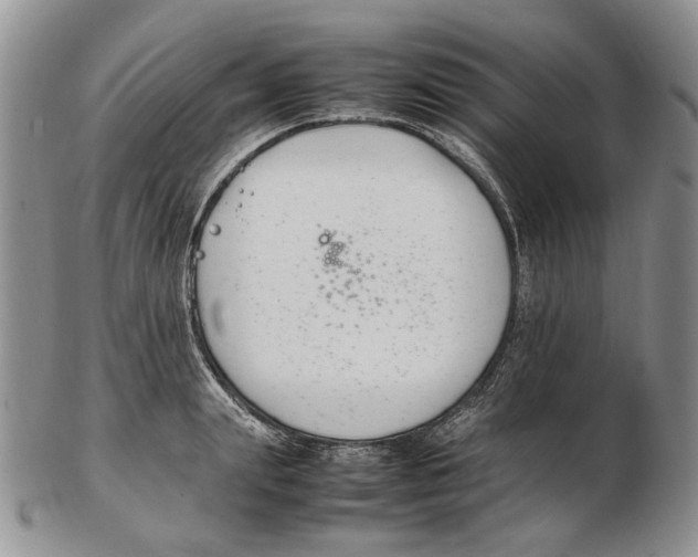 X0000102250847200808221351