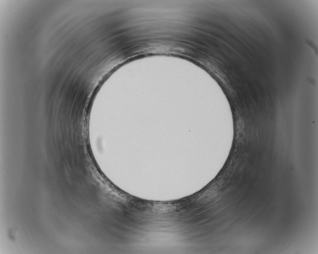 X0000102250848200808221351